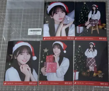 스가와라 사츠키 브로마이드 노기자카46 브로마이드 5종 컴프 5장 세트