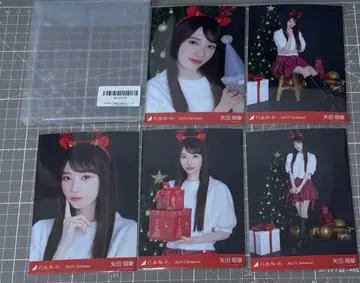 야타 모에카 브로마이드 노기자카46 브로마이드 5종 컴프 5장 세트