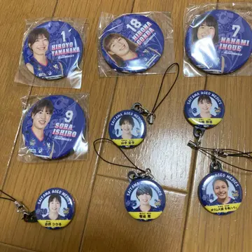 사이타마 아게오 메딕스 캔뱃지와 스트랩 세트