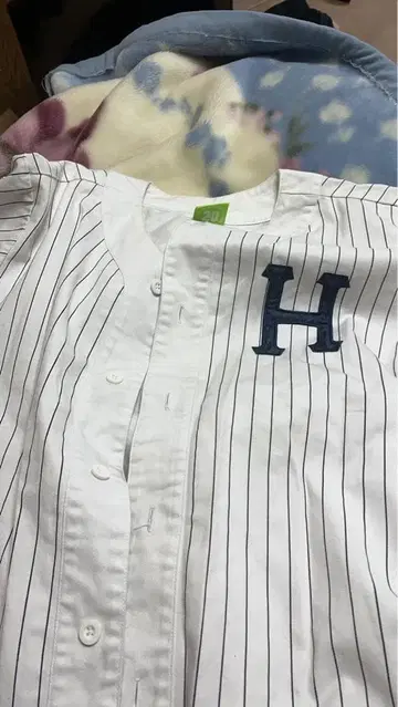 Huf Forever 스트라이프 셔츠