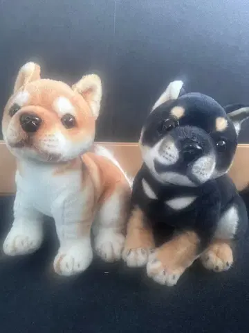 시바견 봉제 인형 세트 (블랙, 브라운)