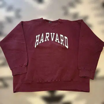 HARVARD 로고 트레이닝복 X-LARGE