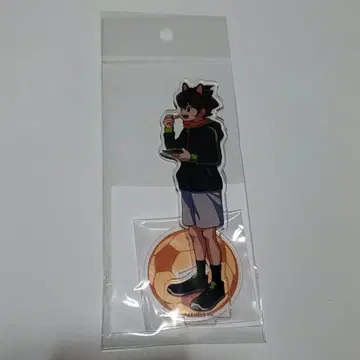 이나즈마 일레븐 난자타운 아크릴 스탠드 엔도 하루