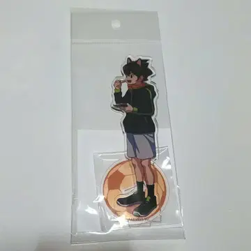 이나즈마 일레븐 난자타운 아크릴 스탠드 엔도 하루