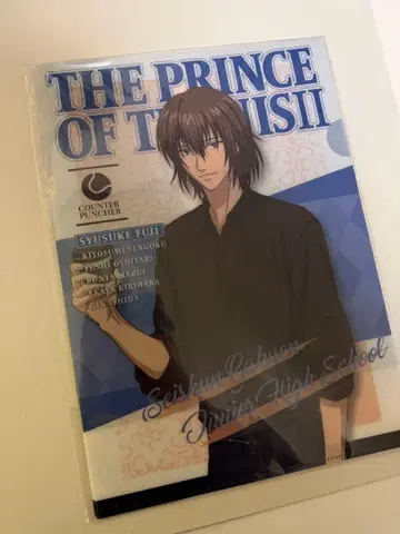 테니스의 왕자님 클리어 파일 후지 슈스케 이시다 긴