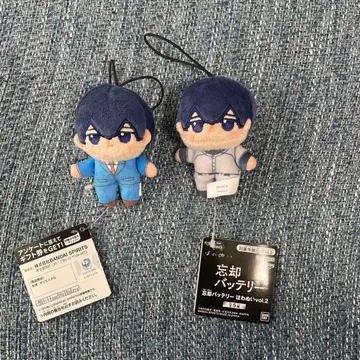 당일 발송 망각 배터리 호와누이 세이호 하루카 2체 세트