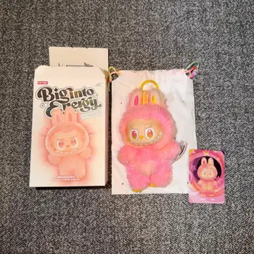 에너지 러브 로열티