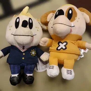 제네견 코모리 하야토