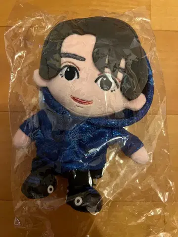 하시모토 료 하피누이