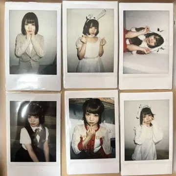 카미나기 래빗츠 배