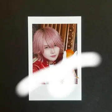 AVAM 길경꽃향 포토 카드 슈가리 스토리 혜택