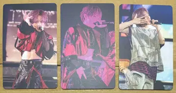 우라시마사카타센 랜덤 미니 포토 카드 WARN12G 우라타누키