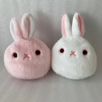 라비당고 (핑크 화이트)