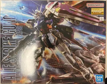 MG 1/100 에일 스트라이크 건담 Ver.RM