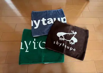 샤이 토프 타월 3개 세트