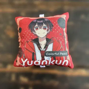 컬러풀 피치 쿠션 스트랩 유안군