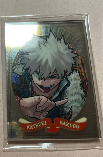 펍 거울풍 아크릴 스티커 히로아카 바쿠고 점프 페스타