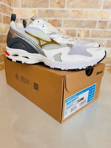 MIZUNO WAVE RIDER 10 'ICONIC COLOR PACK'