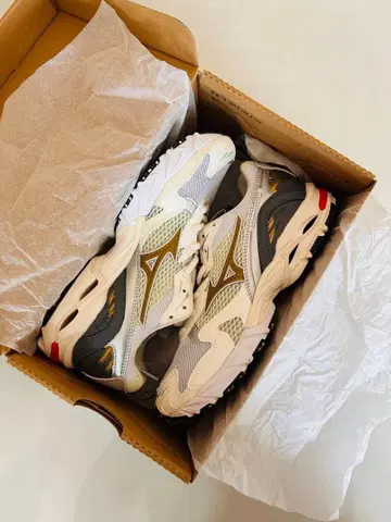 MIZUNO WAVE RIDER 10 'ICONIC COLOR PACK'