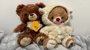 디즈니 유니베어 몽 블랑 칩과 데일 봉제 인형 양 코스튬