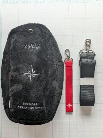 straykids 응원봉 케이스