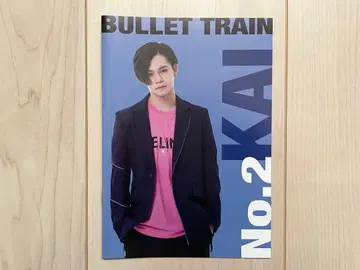 시험용 특급 카이 사용설명서