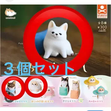 치와와 생활 3개 세트