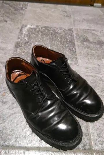 알든 코도반 포스트맨