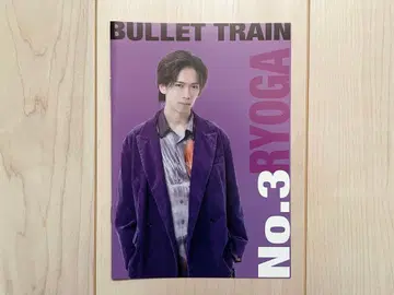 체험판 초특급 료가 사용설명서