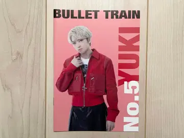 체험 특급 유키 사용설명서