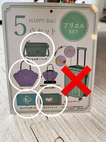 아리엘 디즈니 치하루 해피백