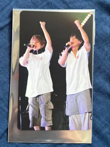 우라시마사카타센 WARN12G 랜덤 미니 포토 카드 우라타누키 시마