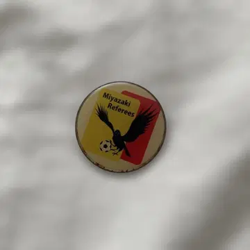 축구 토스 코인