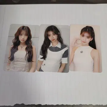 리마 회장 트레이딩 카드 3장 세트