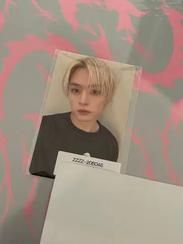 doit 스키즈 straykids 소니뮤직 매장 특전 포토카드 리노