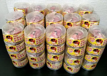 WANDA AKB48 디자인 캔 마그넷 60개 전 60종