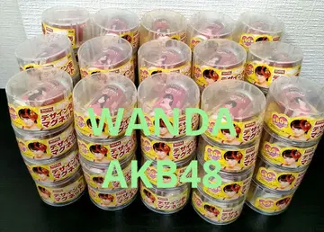 WANDA AKB48 디자인 캔 마그넷 60개 전 60종