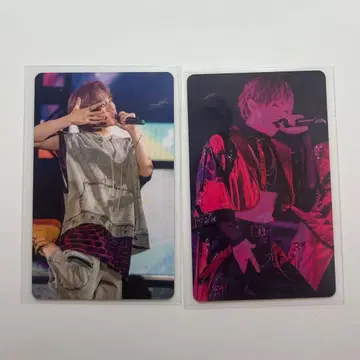 우라시마사카타센 WARN12G 랜덤 미니 포토 카드 우라타누키