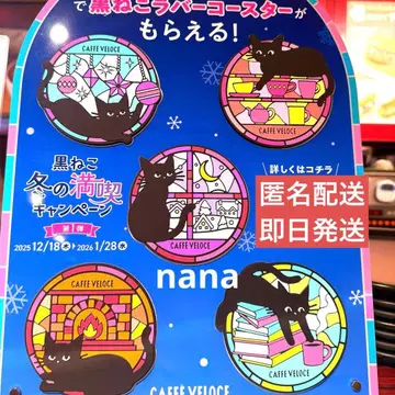 벨로체 러버 코스터 겨울 만끽 캠페인