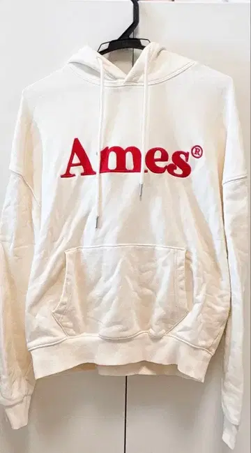 Amesworldwide 로고 후디