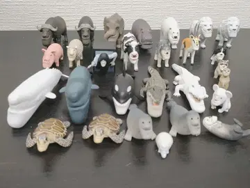 샤크렐 플래닛 묶음 판매 가챠가챠