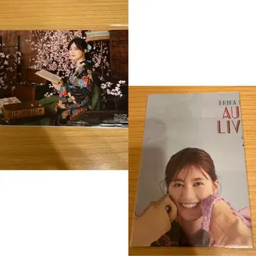 이쿠타 에리카 포스터 리플렛 노기자카46 리듬 페스티벌