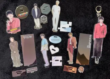 세븐틴 원우 아크릴 스탠드 SEVENTEEN WONWOO