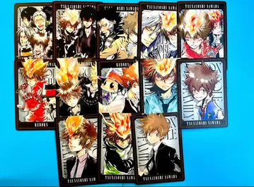 REBORN 리본 보드게임 카드 사와다 츠나요시 13장 R11