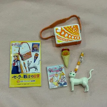 리멘트 세일러 전사의 일상 세일러문 미나코와 방과 후