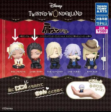 트위스테 어깨 쿵 스카라비아 세트