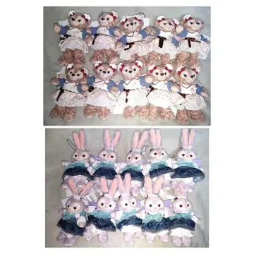 wishing wing 인형 배지 스텔라 루 셰리 메이 총 20점