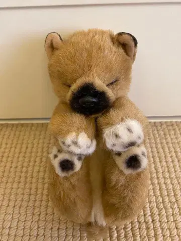 사계절 오리지널 시바견 잠자는 봉제 인형 새상품급