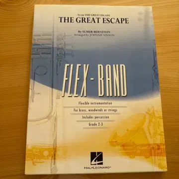 THE GREAT ESCAPE 플렉스 밴드