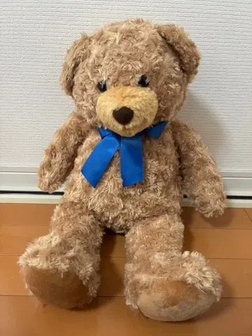 브라운 테디베어